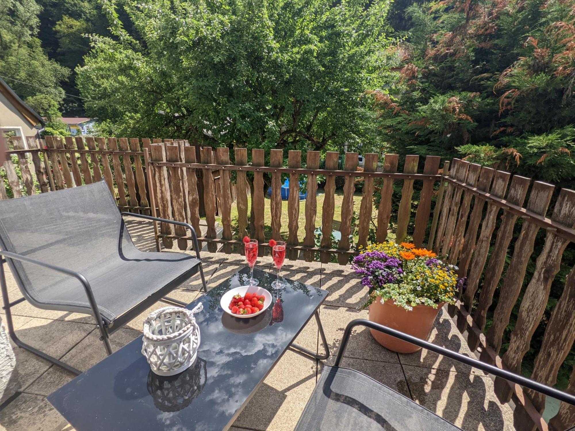Helle gemütliche Wohnung mit Terrasse und Pool - H2 Sebnitz Exterior foto